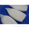 Natural Frozen Argentina Illex Squid Tube